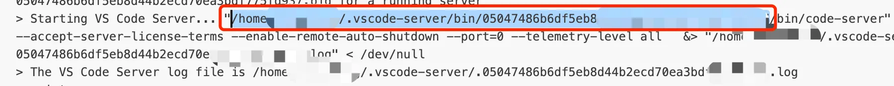 VSCode Remote SSH 日志截图